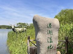 -溱湖国家湿地公园