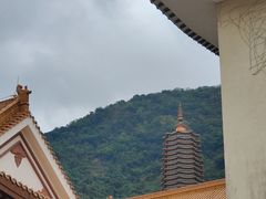 -深圳仙湖植物园