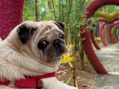 -清远鱼水旅游风景度假区