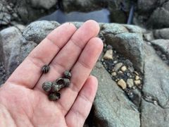 -银沙滩浴场
