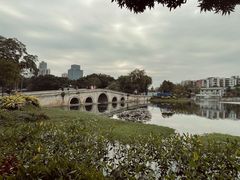 -荔湾湖公园