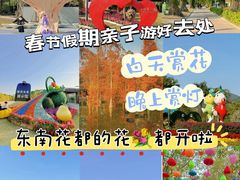 -东南花都花博园