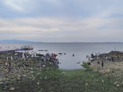 -养马岛旅游度假区