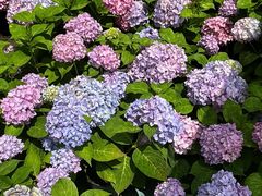 -石湖景区