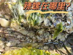 -石槽海滨浴场