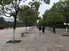 -武汉两江游览·夜游长江(汉口粤汉码头)