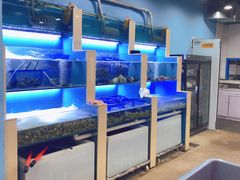 水产区-老虎滩大连海鲜烧烤(建邺云锦路总店)