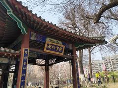 -桃花堤公园