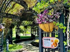 -青岛鑫江温德姆酒店