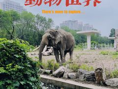 -天津市动物园