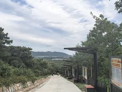 -北京西山国家森林公园