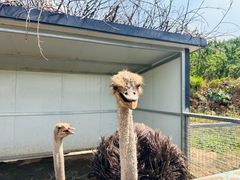 -北京金海湖景区