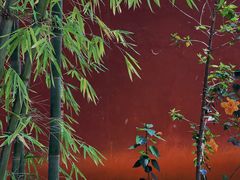 -建水文庙