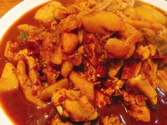 -农夫大盘鸡(经八路总店)