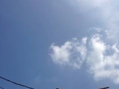 -重庆海昌加勒比海水世界