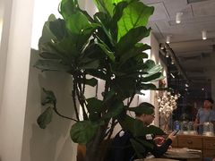 -喜茶(中山白水井店)