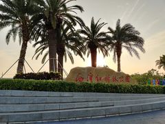 -宝安西湾红树林湿地公园