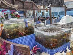 水产区-半岛听涛蒸汽海鲜自助(K11店)