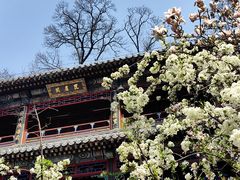 -潭柘寺景区