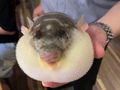 -永安鱼庄·镇江菜(丁卯店)