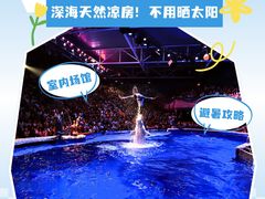 -大连圣亚海洋世界
