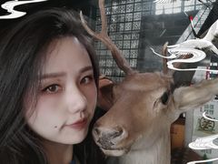 -秦园酒楼(水岸星城店)