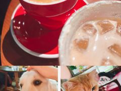 -咖法森林·咖啡  酒吧(天河店)