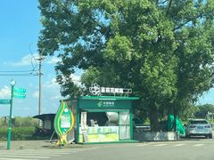 -中华茉莉园