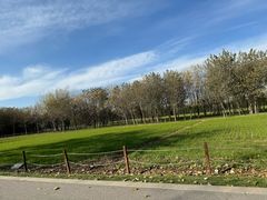 -汉长安城未央宫国家考古遗址公园