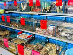 -金海湾海鲜排档(朱家尖店)