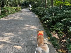 -杭州半山国家森林公园