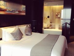 环球恐龙城维景国际大酒店-常州环球恐龙城维景国际大酒店