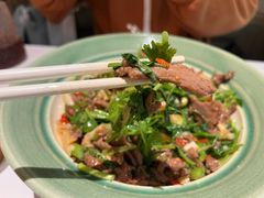 香菜摔打黄牛肉-桂满陇·手作小笼包&江南叫花鸡(中山公园店)