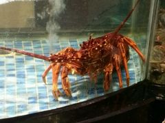 -麦斯汀烘焙坊(建昌兴隆店)