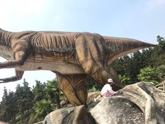 -南京银杏湖乐园