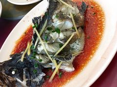 清蒸石斑鱼-三亚老渔民海鲜店