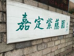 -嘉定紫藤园