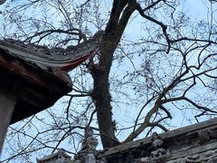 -金堂县云顶石城风景区