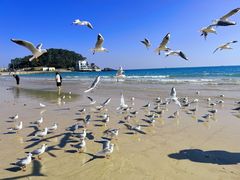 -海云台海滩