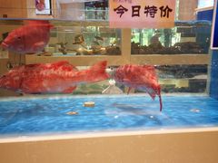 -双井轩(双井店)
