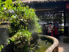 -园林美食城·本土农家菜(杨和镇店)