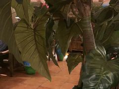 -凯撒城堡西餐厅(颐和国际店)