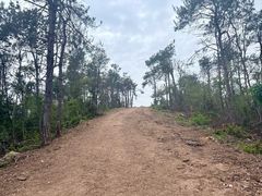 -青龙山国家森林公园
