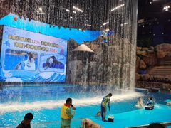 -芜湖新华联大白鲸海洋公园