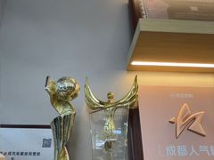 -车友必成·3M汽车贴膜/隐形车衣/改色膜(成都店)