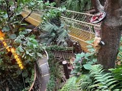 -正佳雨林生态植物园
