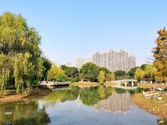 -堤角公园