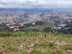 -长虫山生态公园风景林