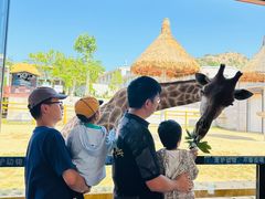 -西霞口神雕山野生动物世界