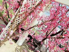 -玫瑰海岸文化旅游度假区